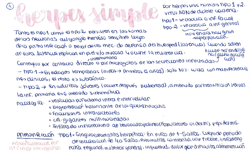 Miniatura del documento Herpes-simple.pdf