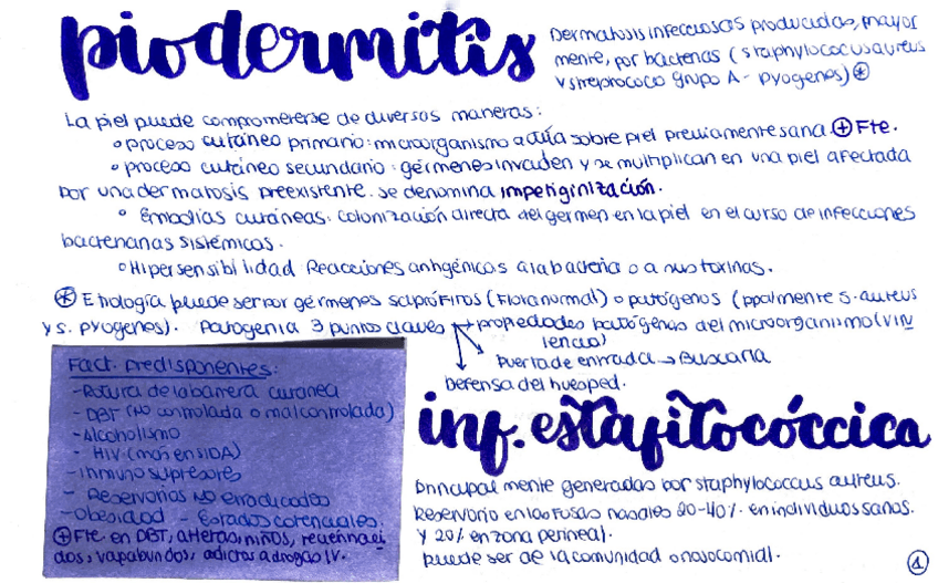 Miniatura del documento Piodermitis.pdf