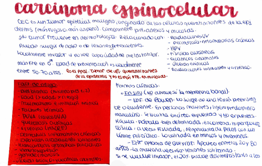 Miniatura del documento Carcinoma-espinocelular.pdf