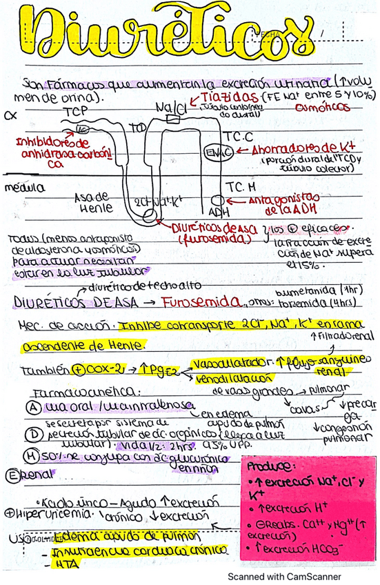 Miniatura del documento Diureticos.pdf