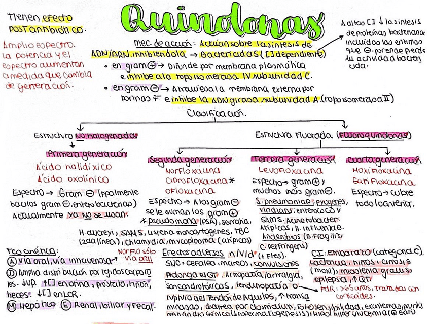 Miniatura del documento Quinolonas.pdf
