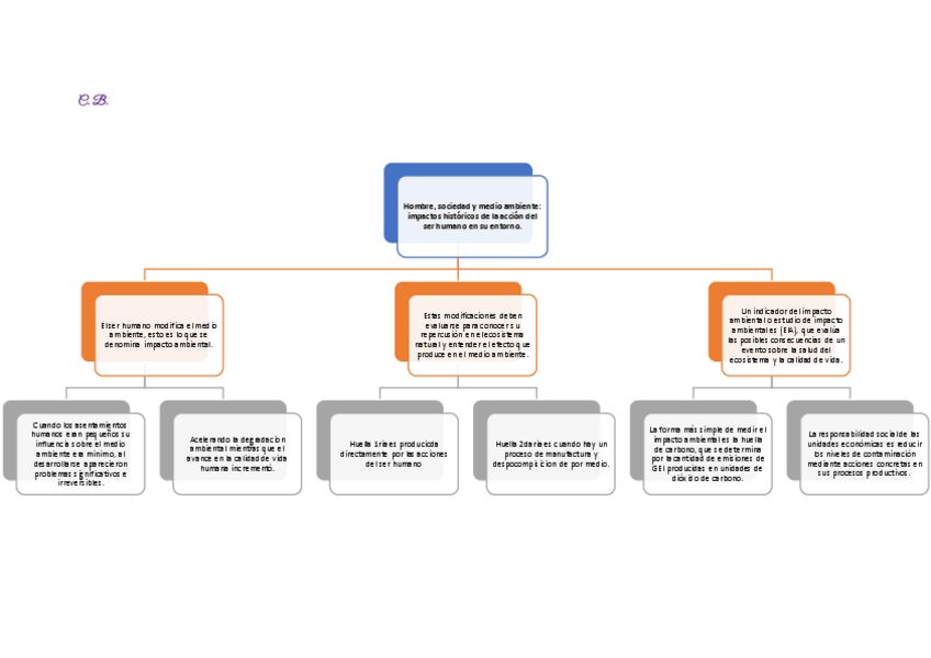 Miniatura del documento Medio-ambiente-y-sustentabilidad-para-proyectos.pdf