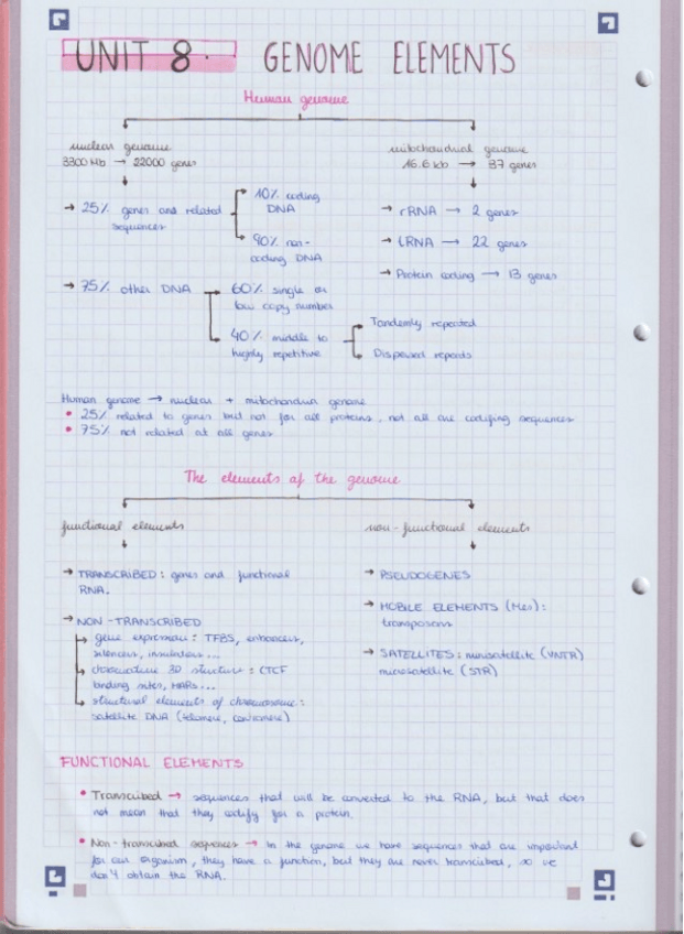 Miniatura del documento genome-elements.pdf