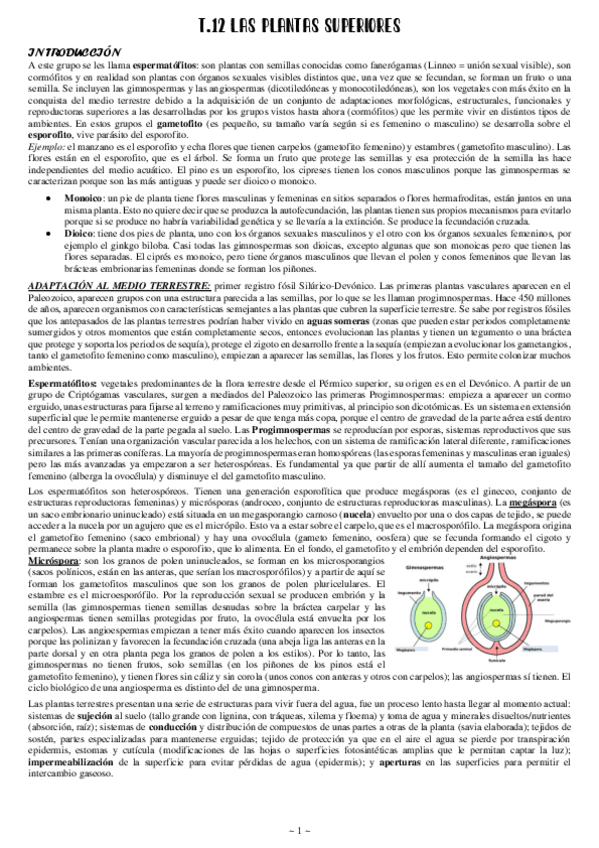 Miniatura del documento 12-Las-plantas-superiores.pdf