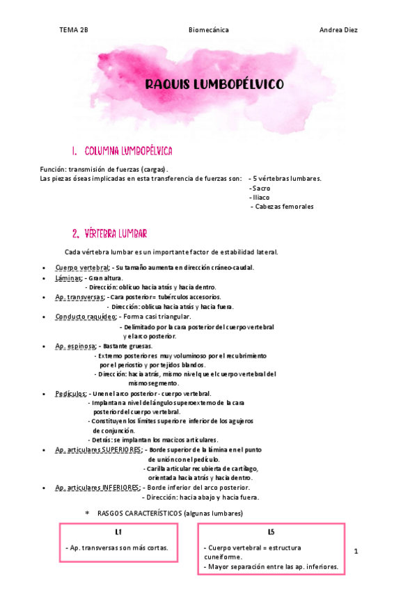 Miniatura del documento TEMA-2B-LUMBAR.pdf