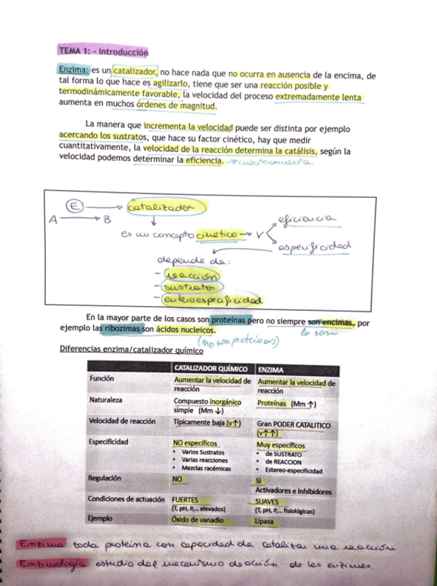Miniatura del documento biotecnología de enzimas bloque I.pdf