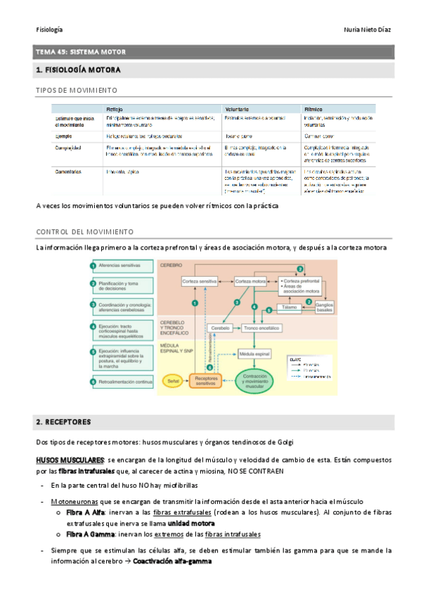 Miniatura del documento TEMA 45 - Sistema motor.pdf