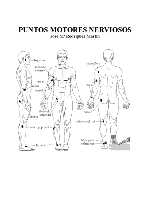 Miniatura del documento Puntos-motores-y-nerviosos.pdf