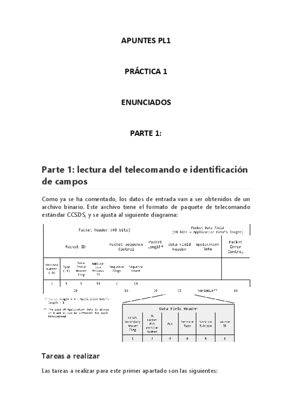 Miniatura del documento APUNTES-PL1.pdf
