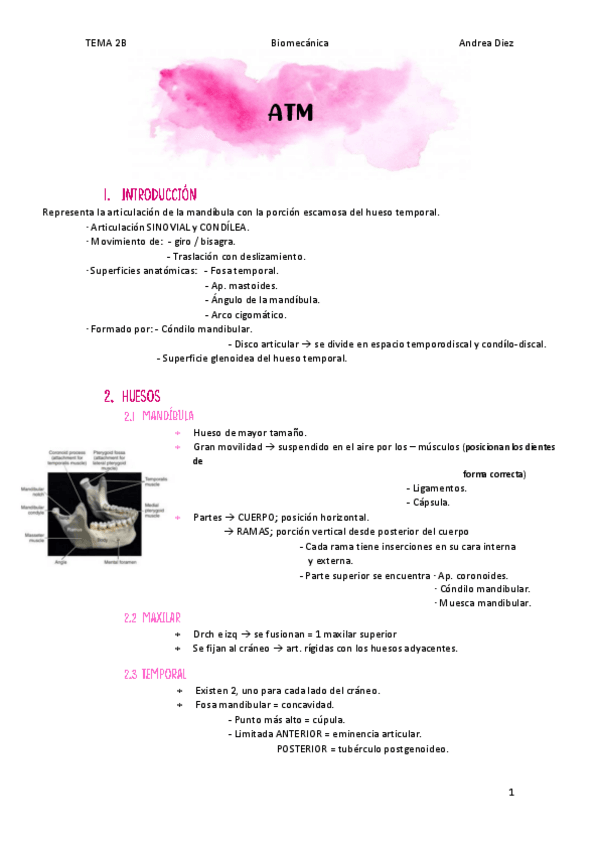 Miniatura del documento TEMA-2B-TORACICO-.pdf