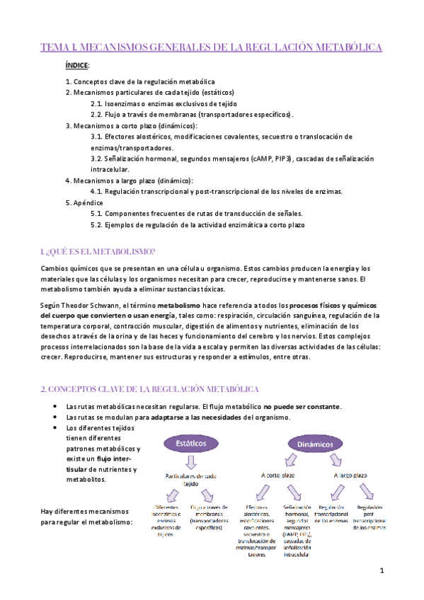 Miniatura del documento Temas-1-6-BIOQUIMICA-II.pdf