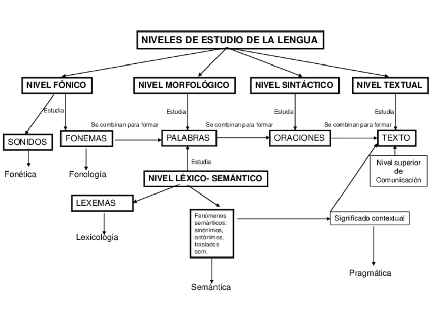 Miniatura del documento Morfologia-COMPLETO.pdf