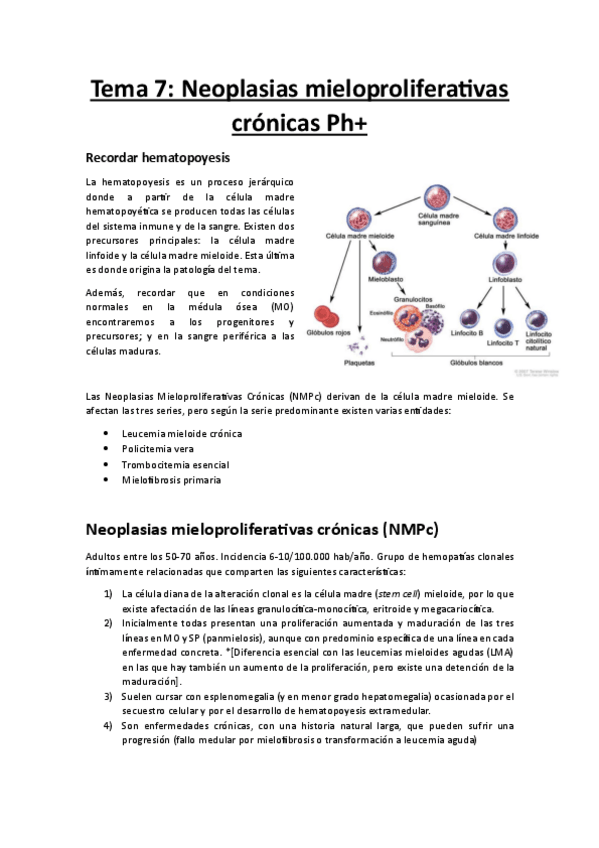 Miniatura del documento Tema-7-LMC.pdf