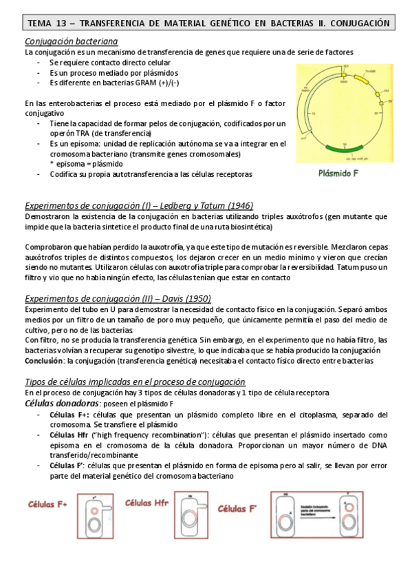 Miniatura del documento TEMA-13-MICRO.pdf