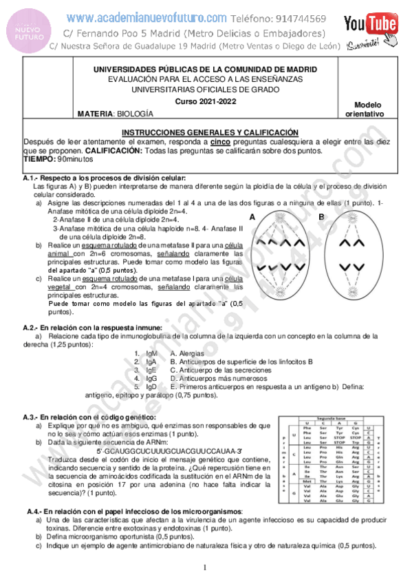 Miniatura del documento Examen-Biologia-Modelo-Selectividad-Madrid-Junio-2022-solucion.pdf