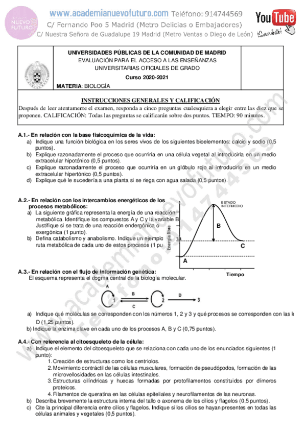Miniatura del documento Examen-Biologia-Coincidentes-Selectividad-Madrid-Junio-2021-solucion.pdf
