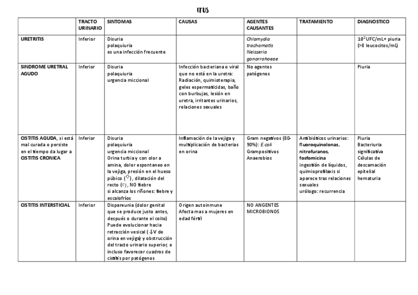 Miniatura del documento CUADRO-RESUMEN-ITUS.pdf