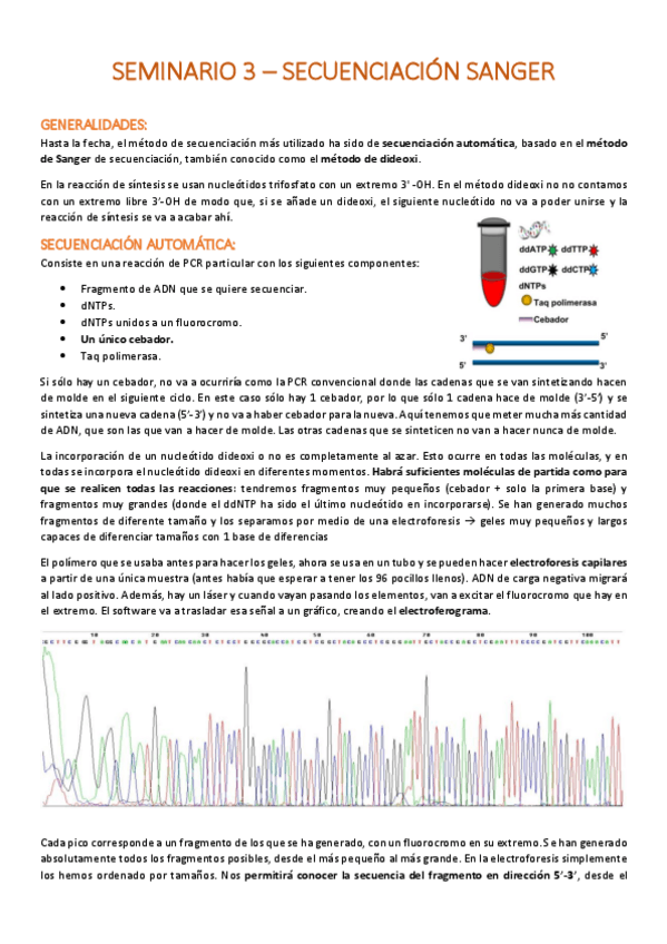 Miniatura del documento Seminario-3-Secuenciacion-Sanger.pdf