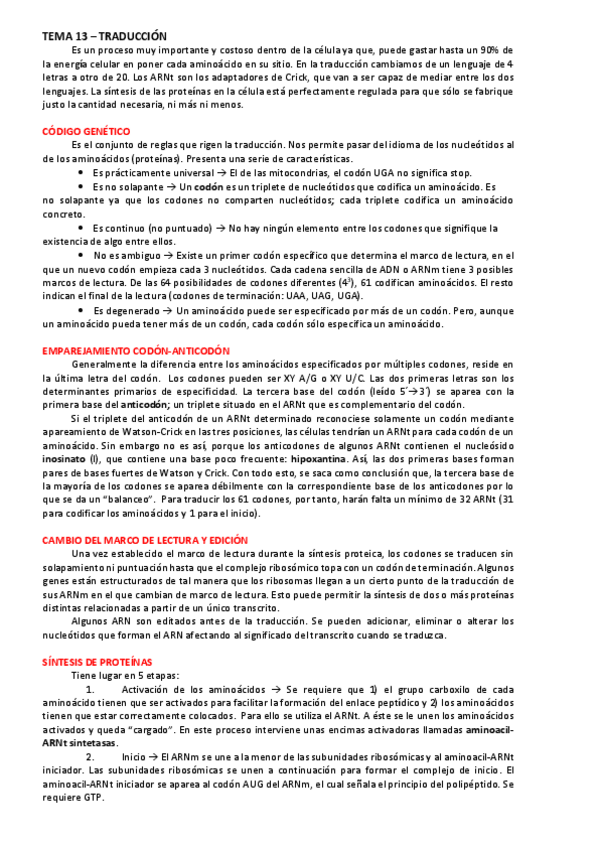 Miniatura del documento TEMA 13 - TRADUCCIÓN.pdf