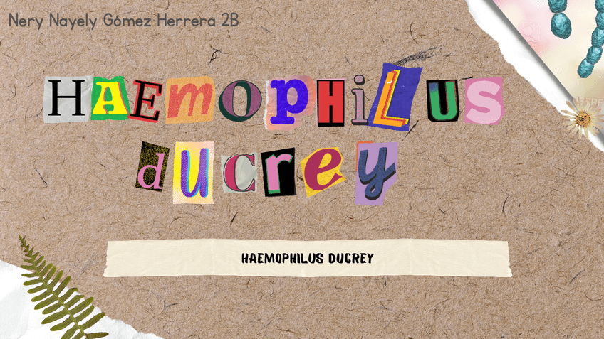 Miniatura del documento chancro.pdf