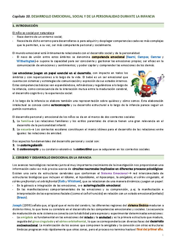 Miniatura del documento TEMA-10-COMPLETO-NESSA.pdf