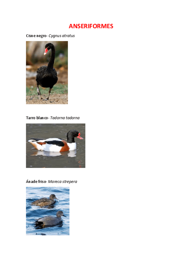 Miniatura del documento catalogo-campo.pdf