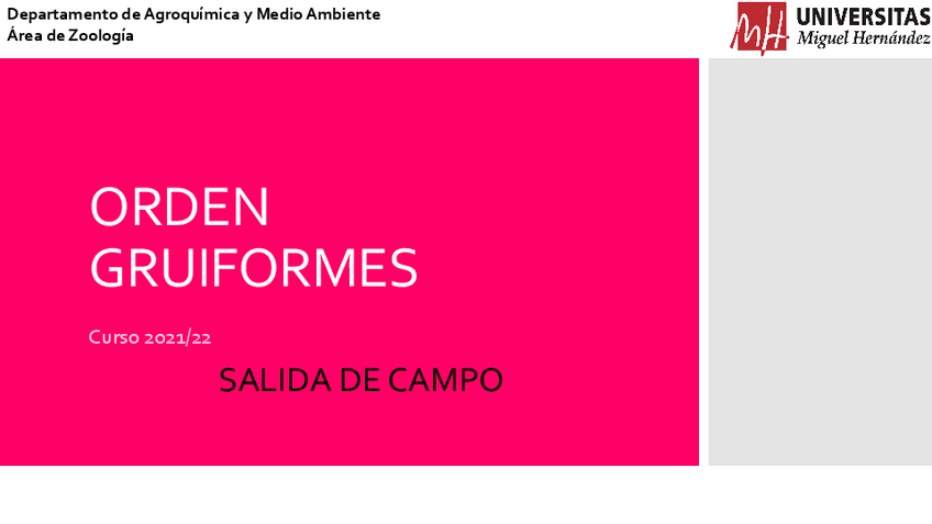 Miniatura del documento 6-GRUIFORMES-ACCIPITRIFORMES-y-FALCONIFORMES.pdf