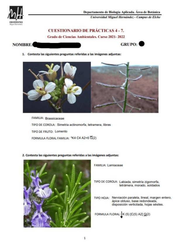 Miniatura del documento cuestionario-practica-4-7.pdf