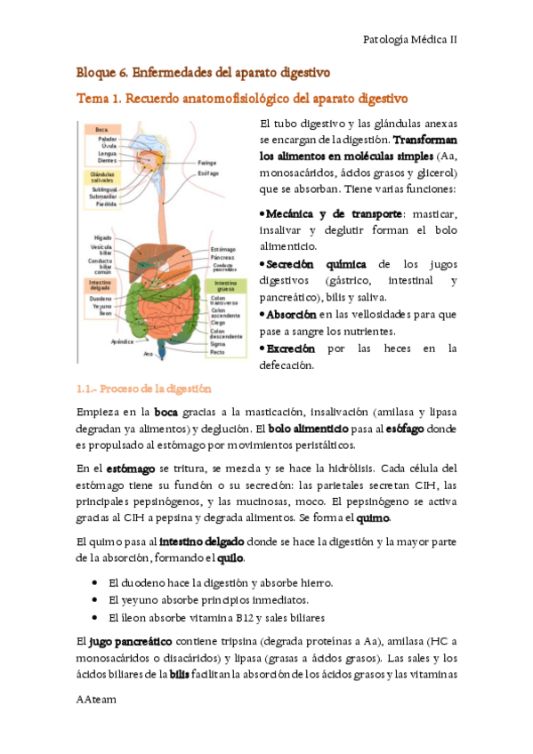 Miniatura del documento B6-PM-II.pdf