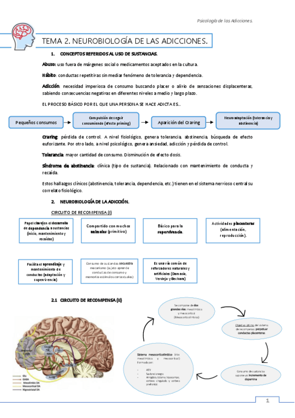 Miniatura del documento Tema2-apuntes.pdf