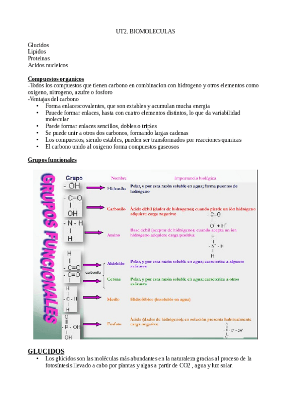 Miniatura del documento UT2.-Biomoleculas.pdf
