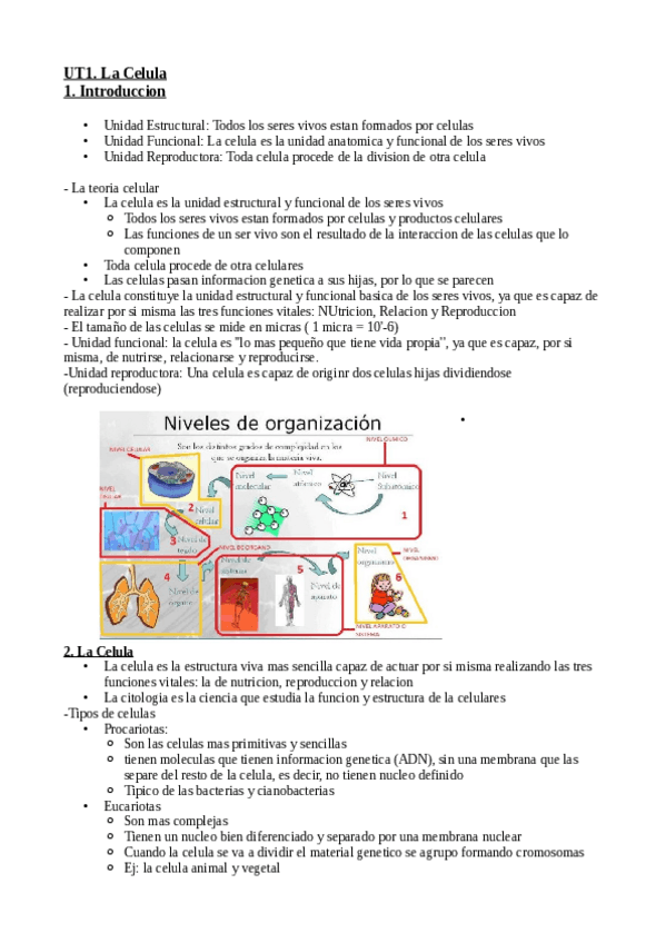 Miniatura del documento UT1.-La-celula.pdf