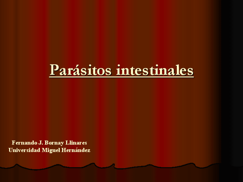 Miniatura del documento T12-Nematodos-intestinales.pdf