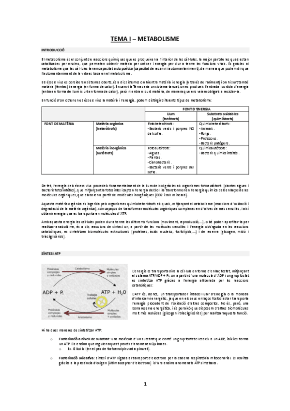Miniatura del documento TEMA-1-METABOLISME.pdf