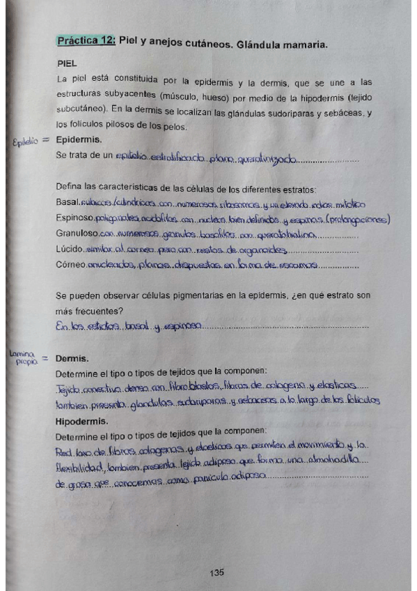 Miniatura del documento Practica-12-4oparcial.pdf