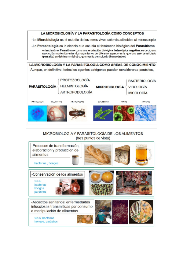 Miniatura del documento temas 25-26,27 parasitologia.docx
