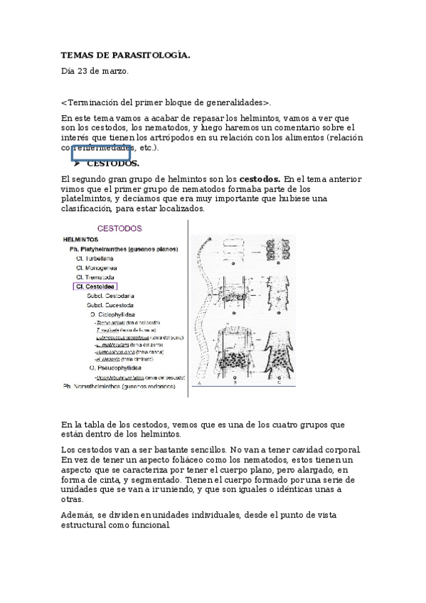 Miniatura del documento TEMA 27 DE PARASITOLOGÍA.docx