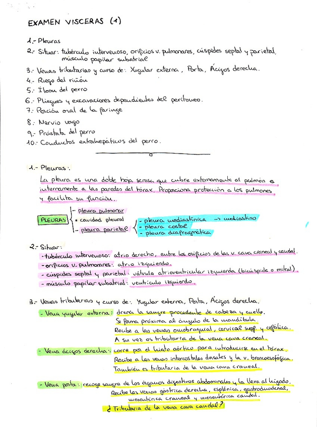 Miniatura del documento Exm_visceras_p1.jpg