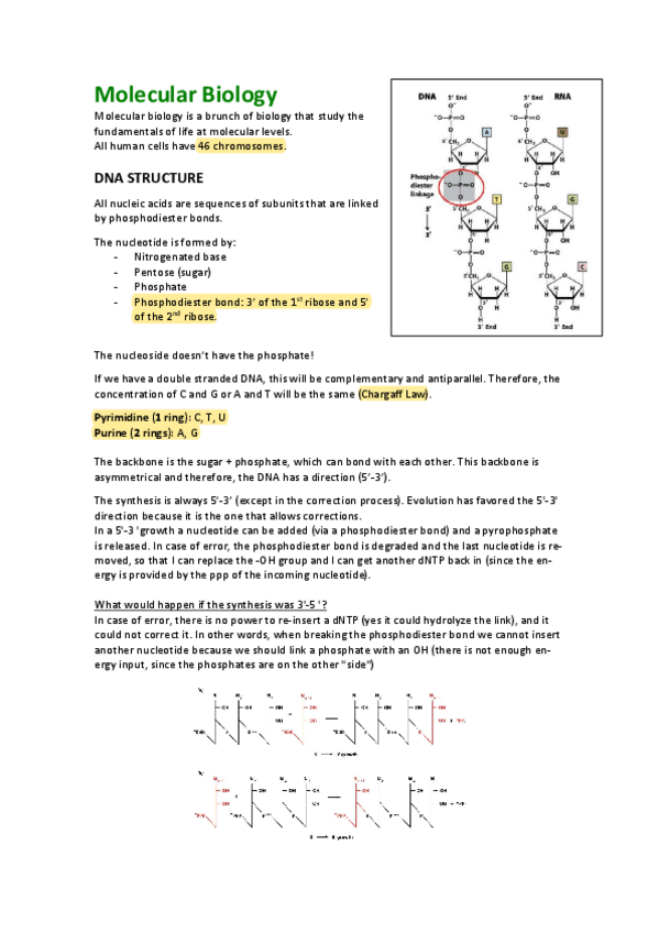 Miniatura del documento Apuntes (tengo un 9.7 de nota final).pdf