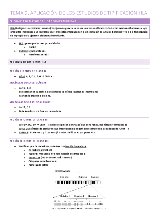 Miniatura del documento TEMA-9.-TIPIFICACION-HLA.pdf