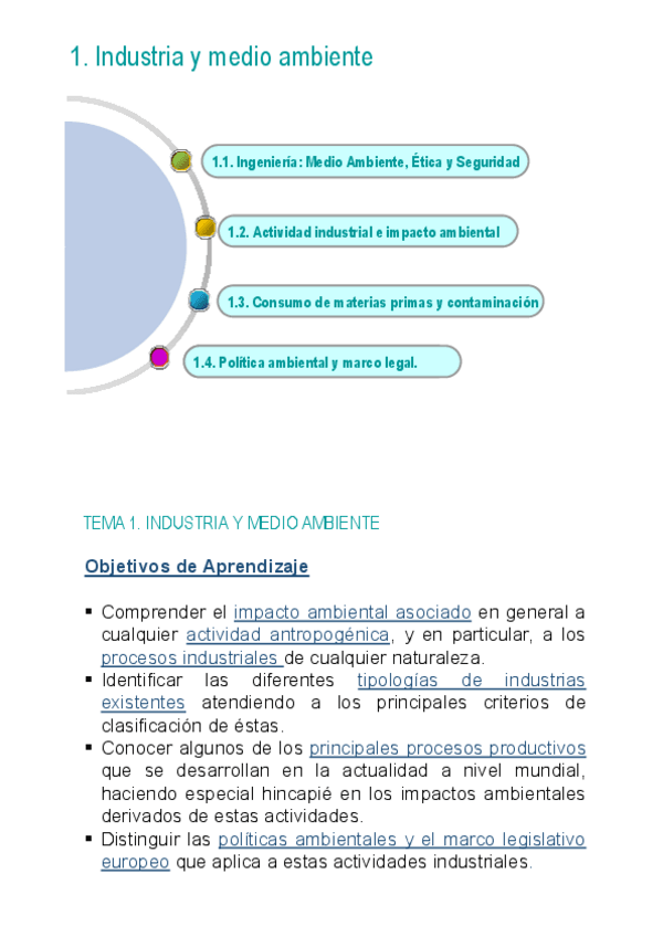 Miniatura del documento TAPTema-1IndustriayMedioAmbiente.pdf