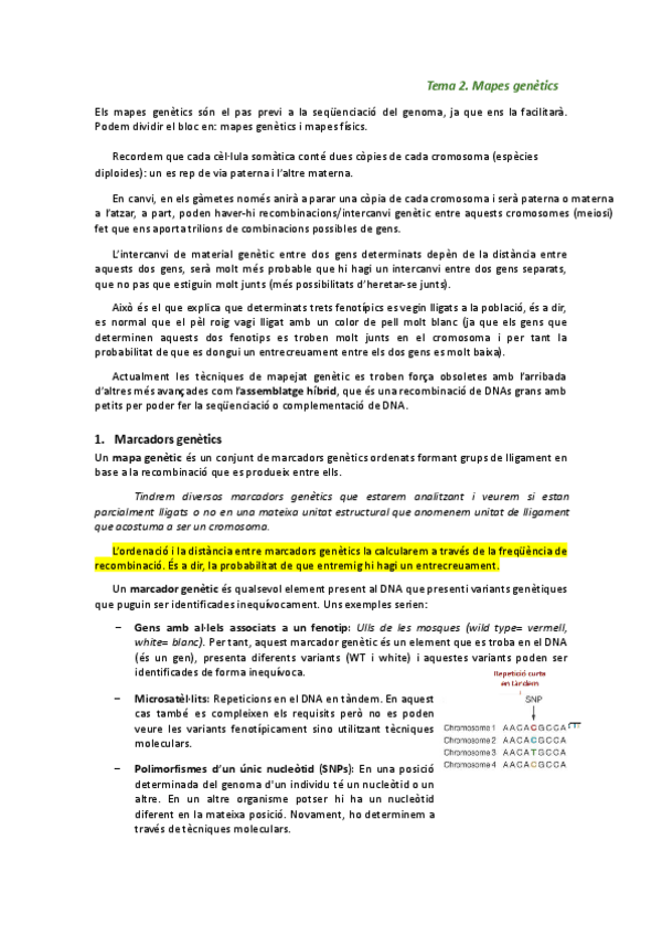 Miniatura del documento T2 PGI (tengo un 9.5 de nota final).pdf
