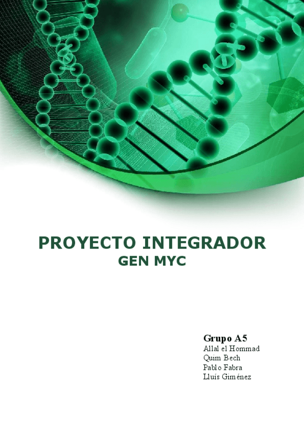 Miniatura del documento projecte-integrador.pdf