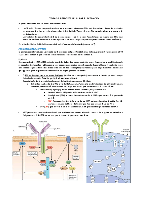 Miniatura del documento 20-21.pdf