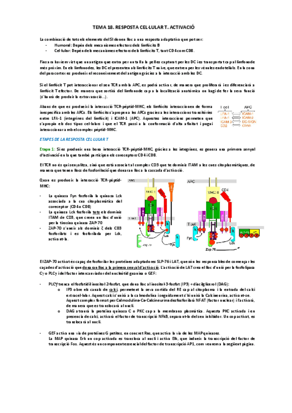 Miniatura del documento 18-19.pdf