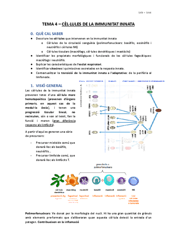 Miniatura del documento TEMA-4.-Laia-i-Lluis.docx.pdf