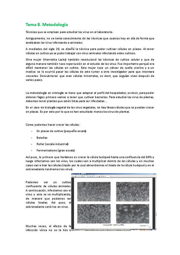 Miniatura del documento 3er-parcial-VIR.pdf
