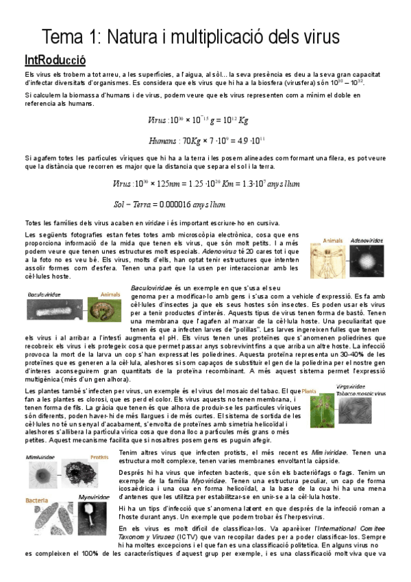 Miniatura del documento Virologia-apunts.docx.pdf