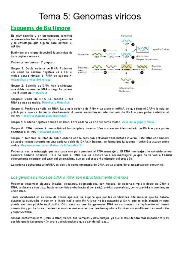 Miniatura del documento Tema-5-VIR.pdf