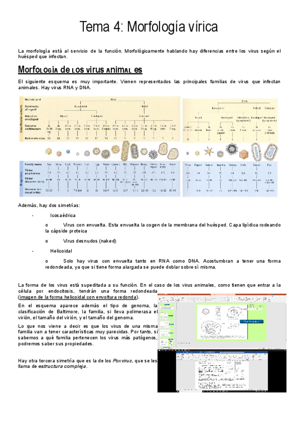 Miniatura del documento Tema-4-VIR.pdf